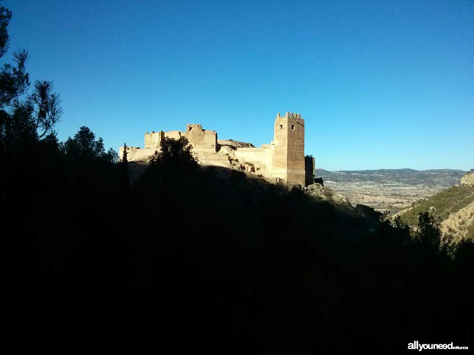 Castillo de Pliego. Castillos de Murcia
