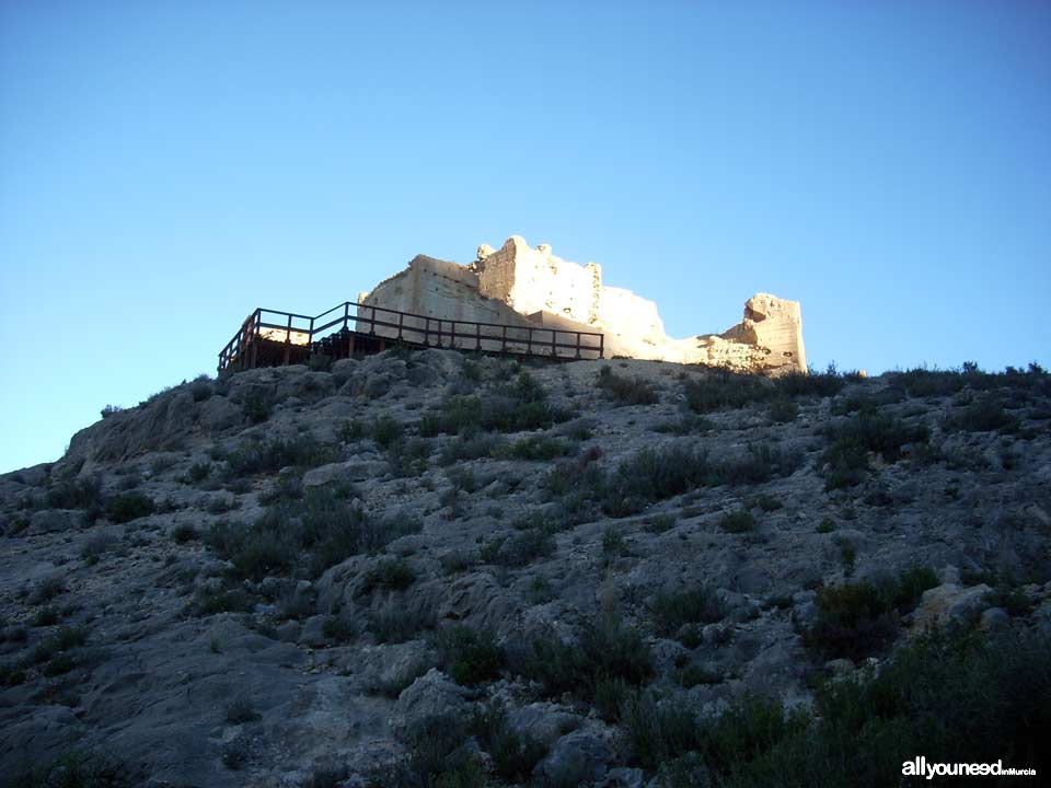 Castillo de Pliego. Castillos de Murcia