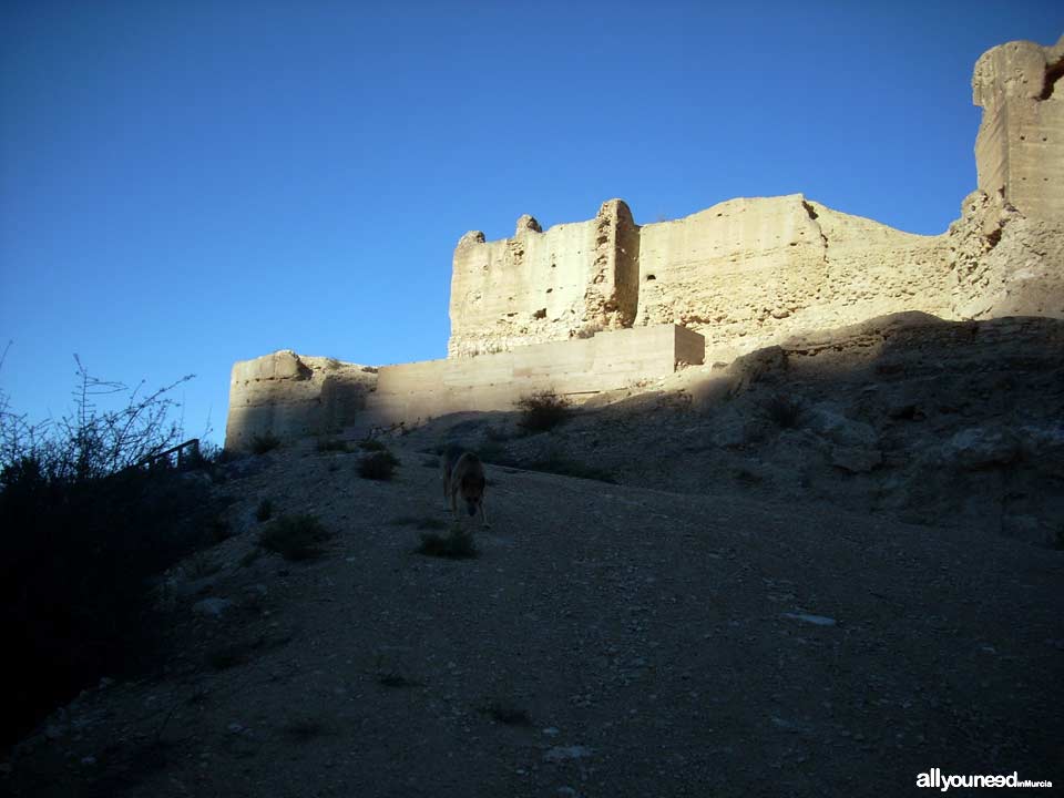 Castillo de Pliego. Castillos de Murcia