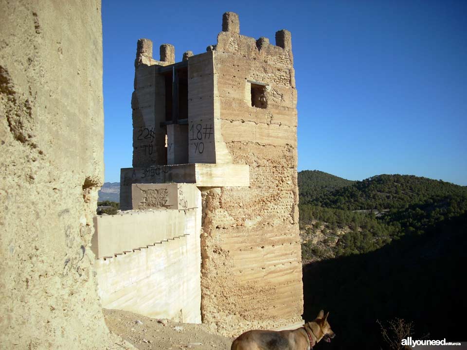 Castillo de Pliego. Castillos de Murcia