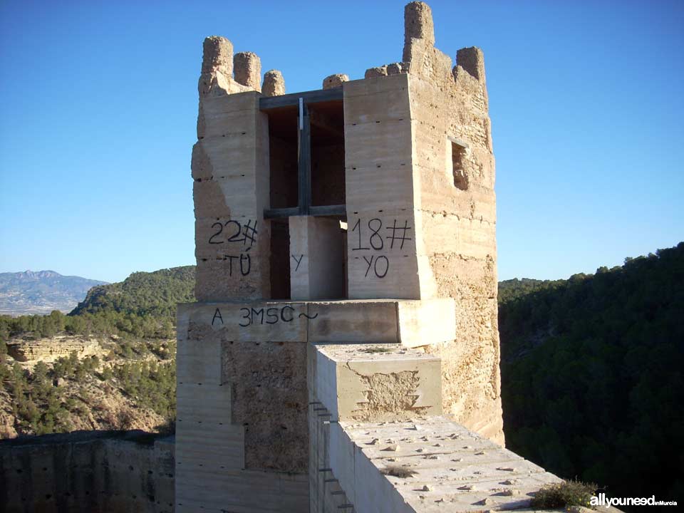 Castillo de Pliego. Castillos de Murcia