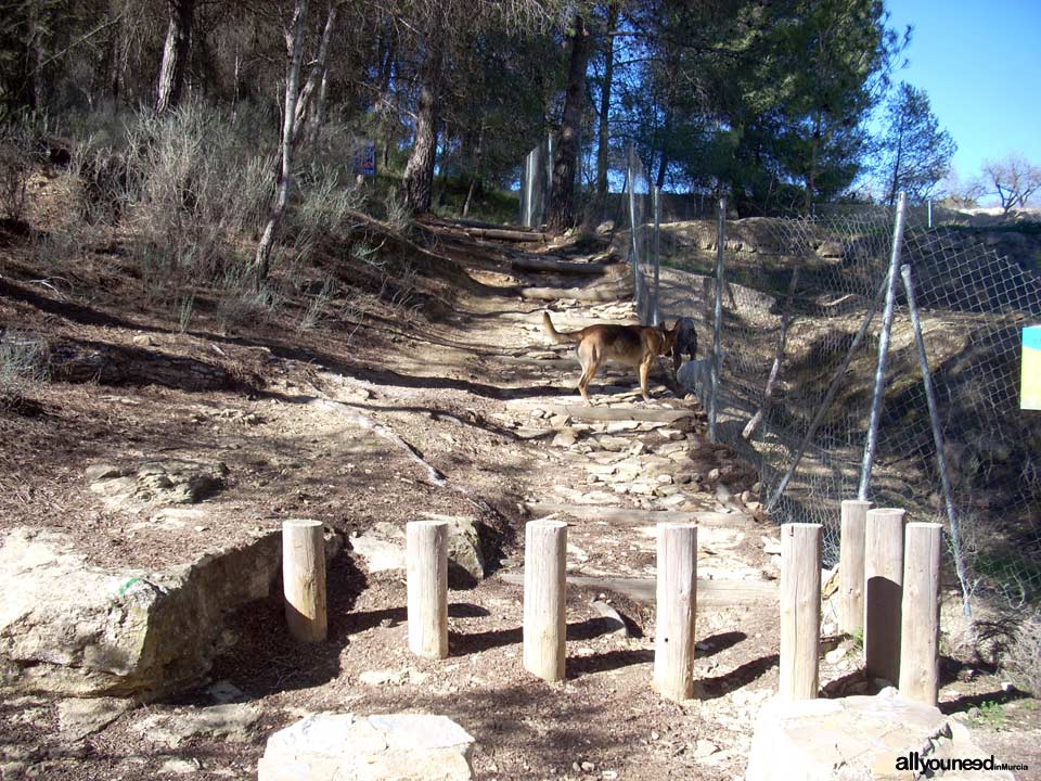 Castle of Paleras and Muela Trail, SL-MU6 in Pliego