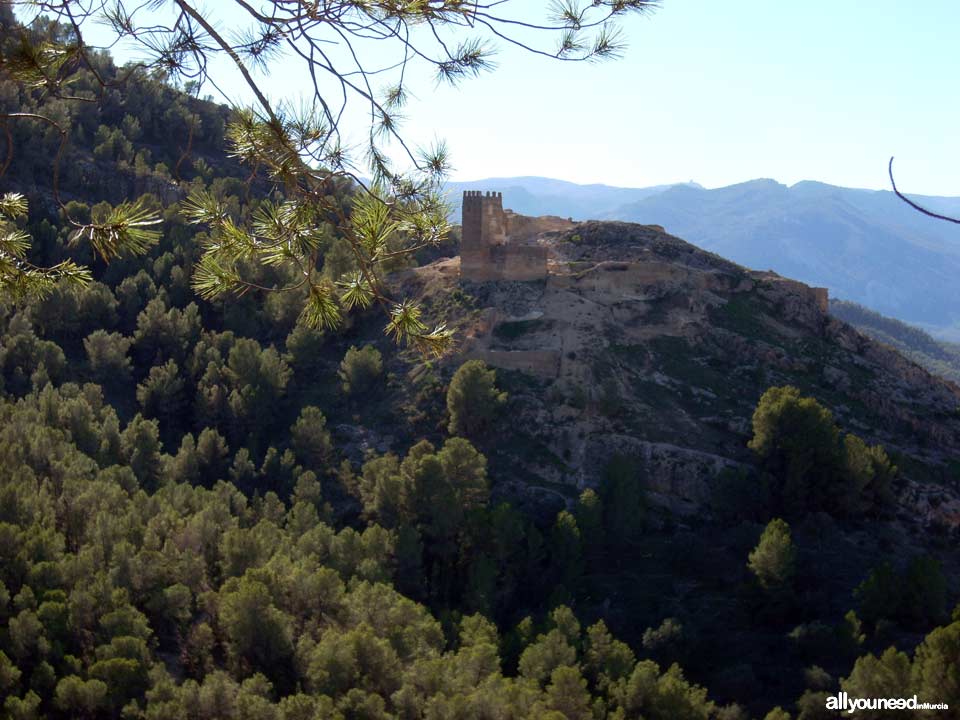 Castle of Paleras and Muela Trail, SL-MU6 in Pliego