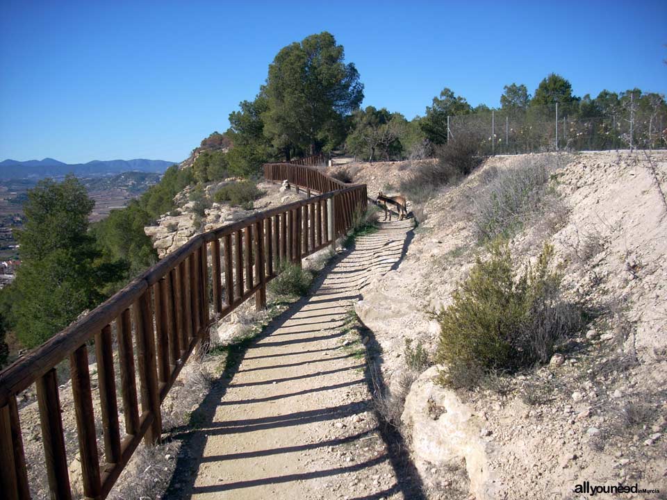 Castle of Paleras and Muela Trail, SL-MU6 in Pliego