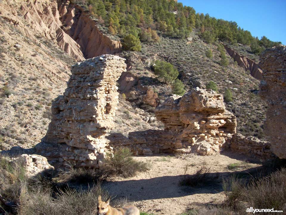 Castle of Paleras and Muela Trail, SL-MU6 in Pliego. Castle of Paleras