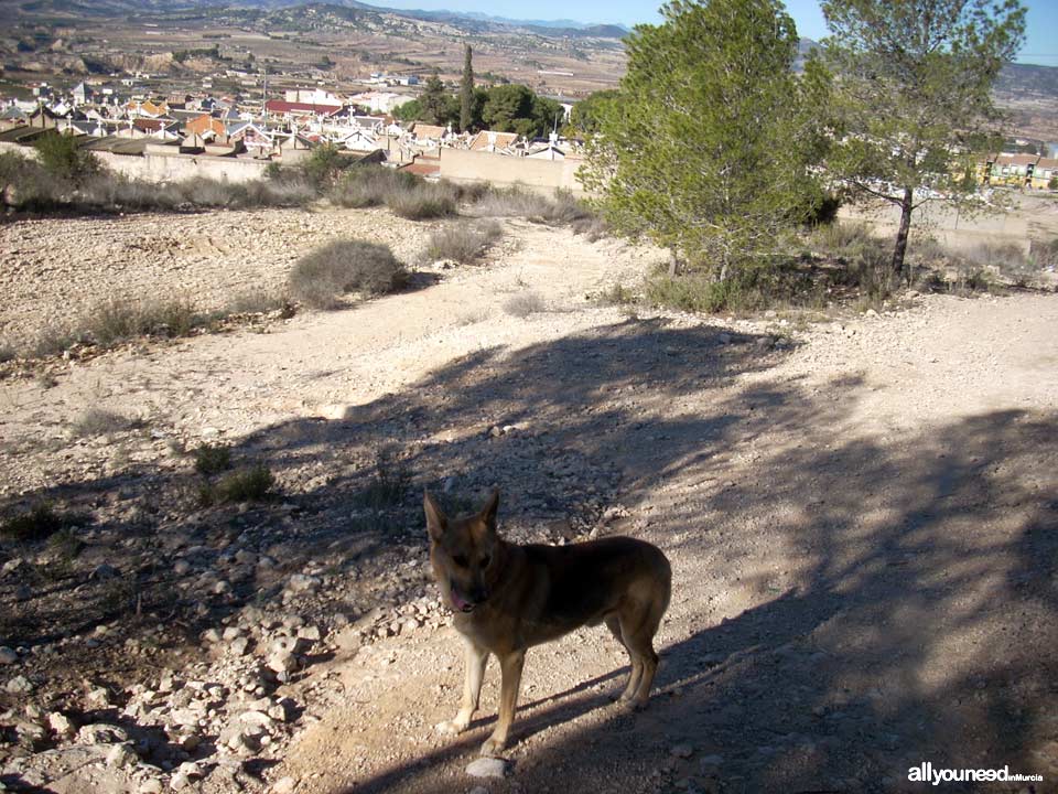 Ruta del Castillo de Pliego y el Cairel PR-MU77. Cementerio