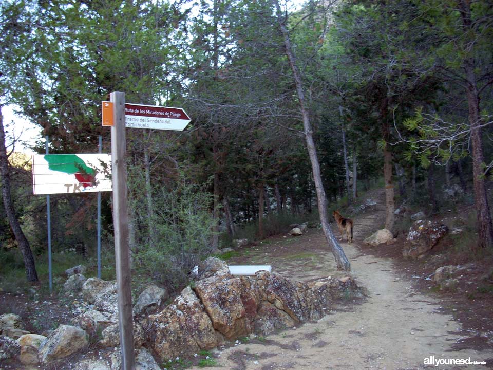 Ruta del Castillo de Pliego y el Cairel PR-MU77