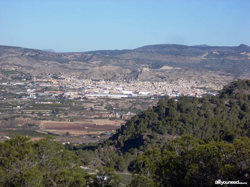 Ruta del Castillo de Pliego y el Cairel PR-MU77. Vistas de Mula