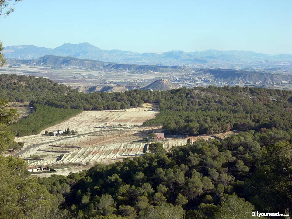 Ruta del Castillo de Pliego y el Cairel PR-MU77. Castillo de Alcalá al fondo