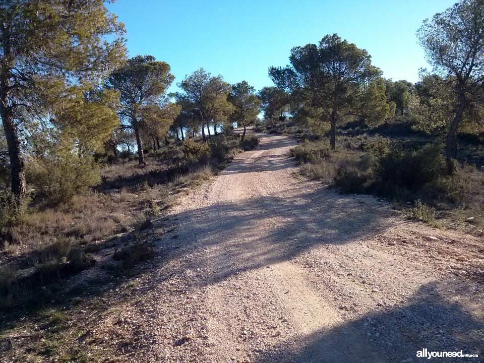 Ruta del Castillo de Pliego y el Cairel PR-MU77