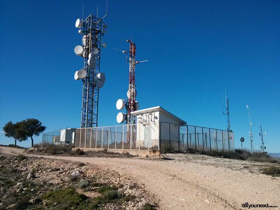 Ruta del Castillo de Pliego y el Cairel PR-MU77. Antenas