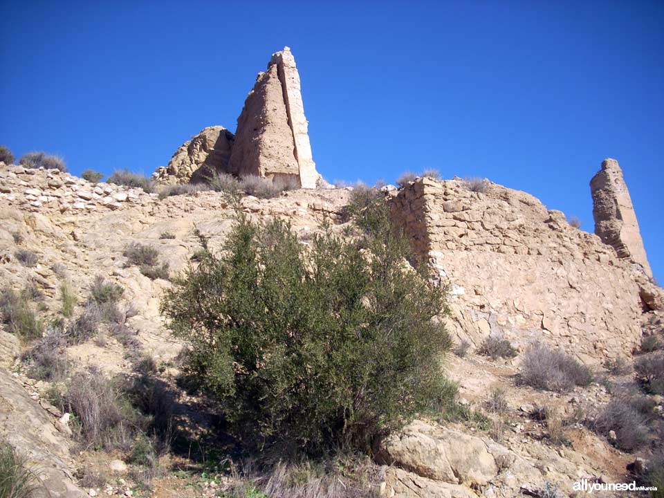 Guía de Castillos medievales en Murcia. Castillo de Ricote