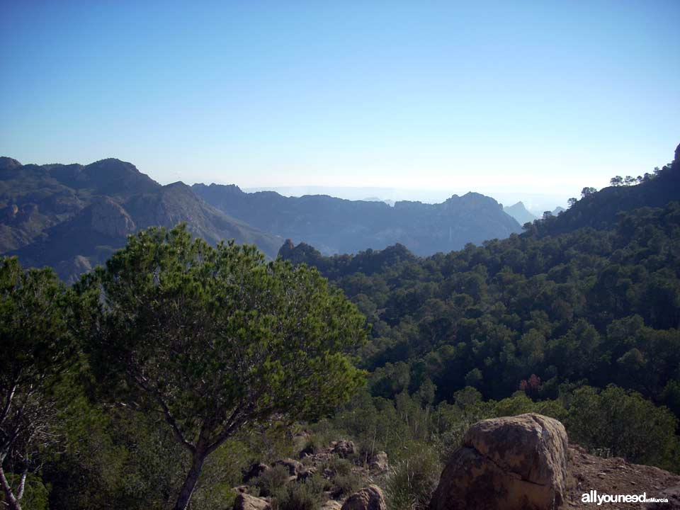 Sendero del Castillo de Ricote. Sencillo sendero con magníficas vistas