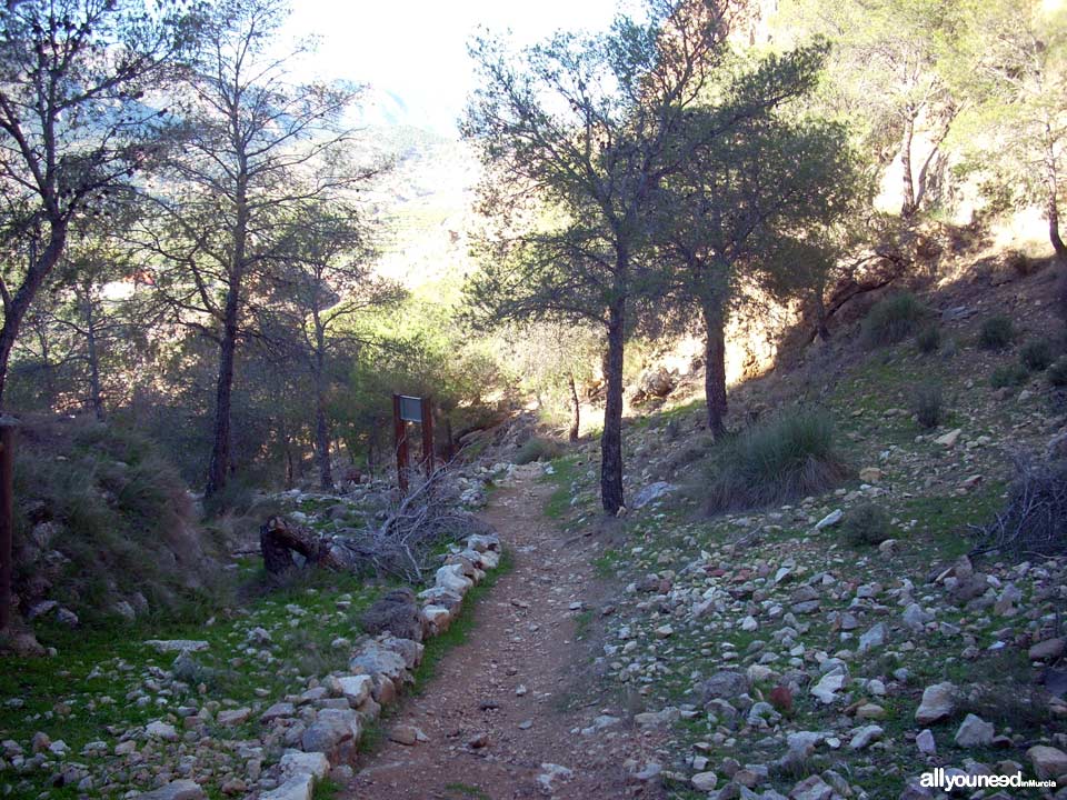 Sendero del Castillo de Ricote. Sencillo sendero con magníficas vistas