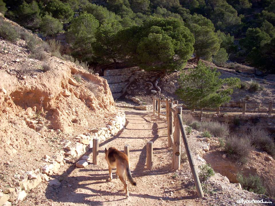 Sendero del Castillo de Ricote. Sencillo sendero con magníficas vistas