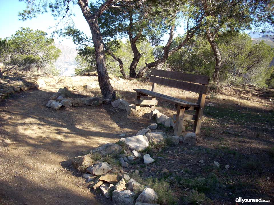 Sendero del Castillo de Ricote. Banco para descansar