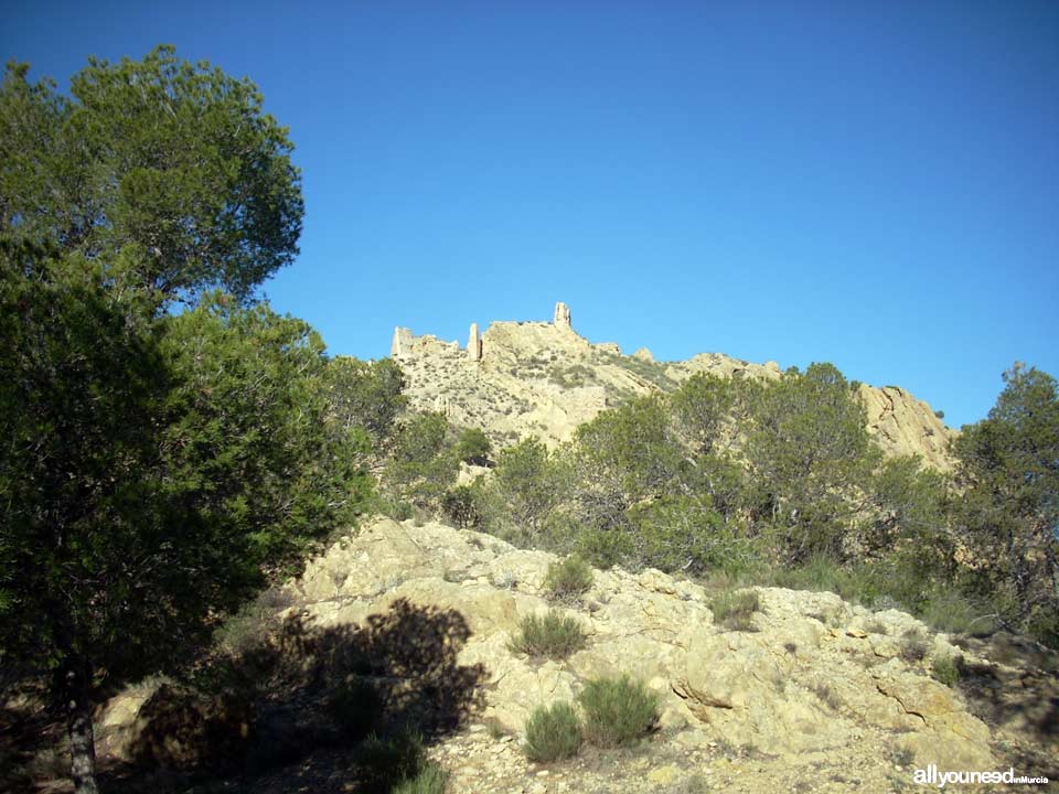 Sendero del Castillo de Ricote. Al fondo la Ruinas del castillo de Ricote