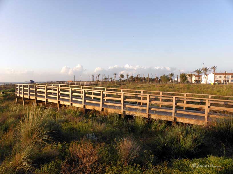 Regional Park  of the Salt Flats and Sand Areas of San Pedro del Pinatar