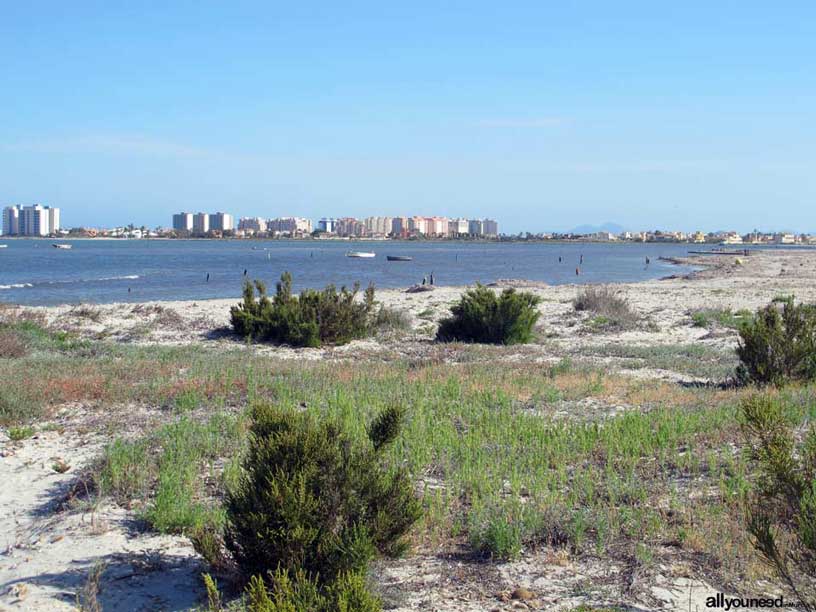 Parque Regional Salinas y Arenales de San Pedro del Pinatar