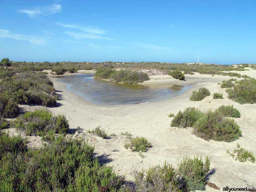 Regional Park  of the Salt Flats and Sand Areas of San Pedro del Pinatar