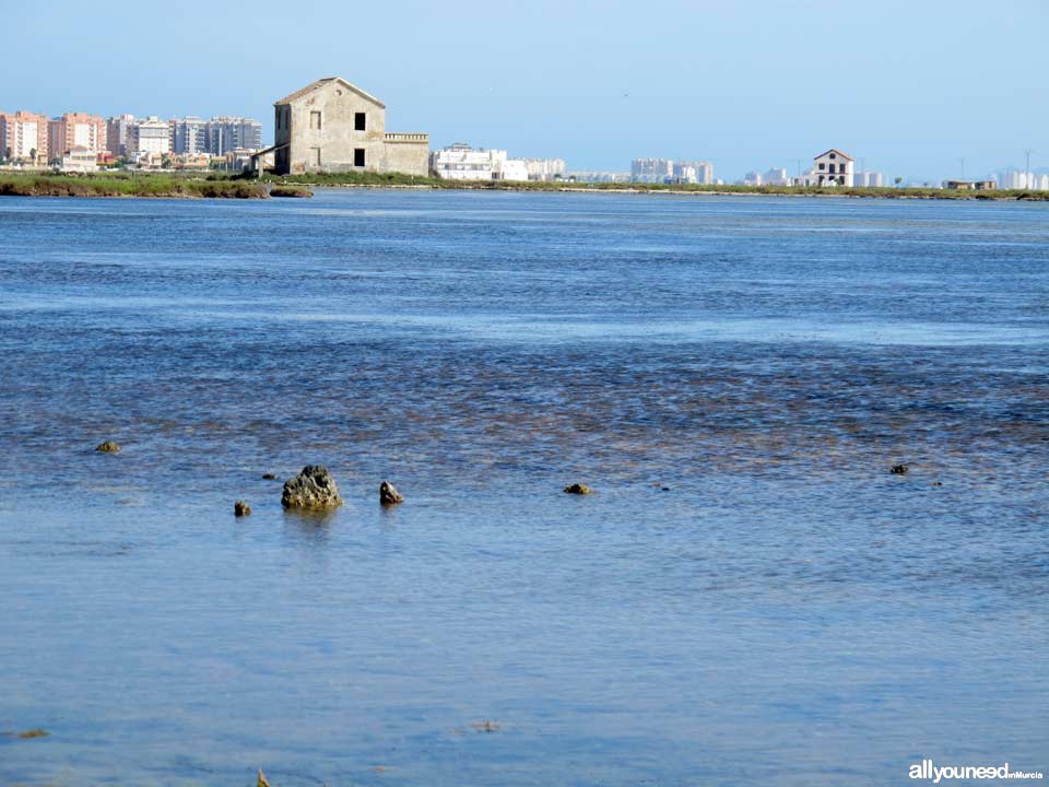 Las Encañizadas. Regional Park of the Salt Flats and Sand Areas of San Pedro del Pinata