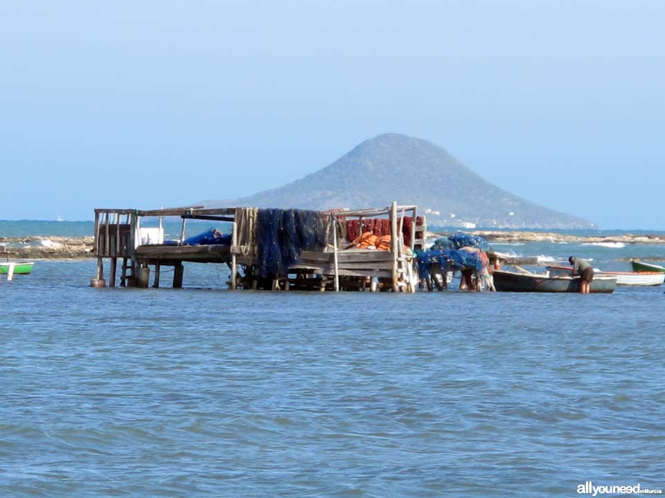 las Encañizadas. Regional Park  of the Salt Flats and Sand Areas of San Pedro del Pinatar