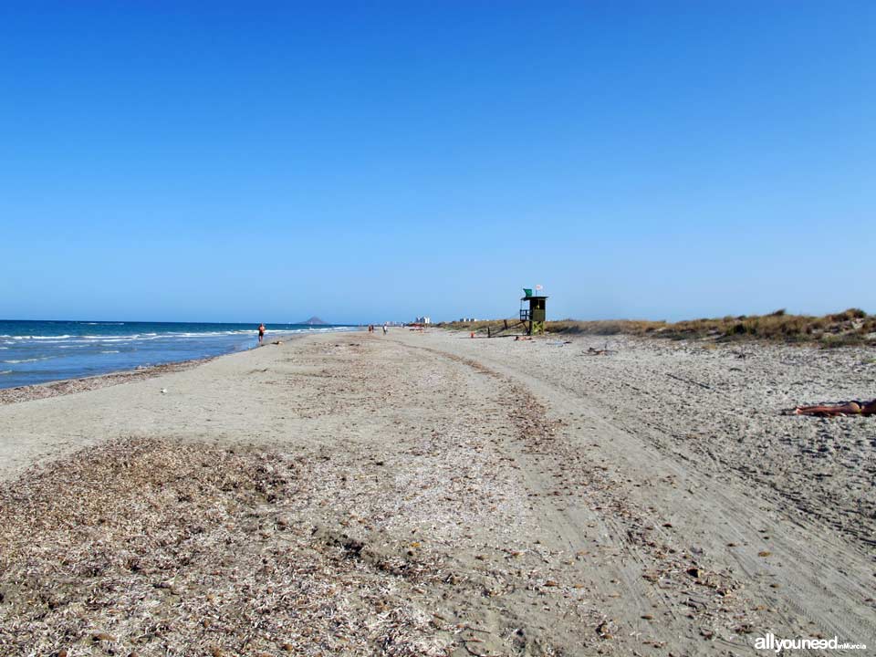 Playa de la Barraca Quemada. Playas de San Pedro del Pinatar