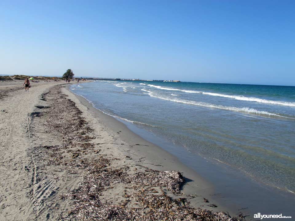 Playa de la Barraca Quemada. Playas de San Pedro del Pinatar
