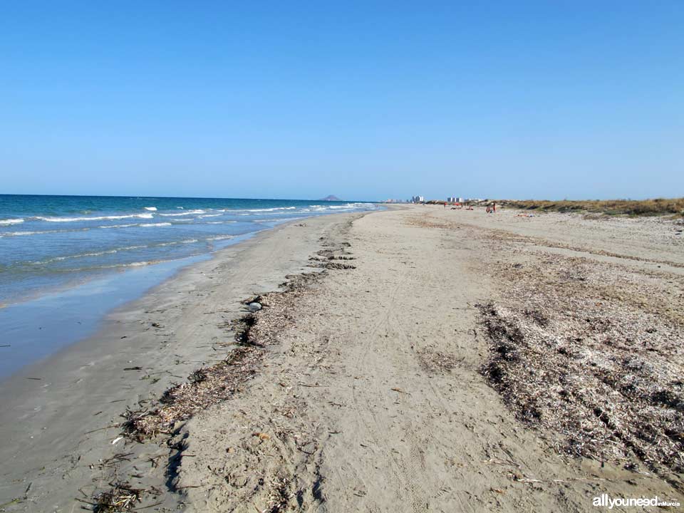 Playa de la Barraca Quemada. Playas de San Pedro del Pinatar