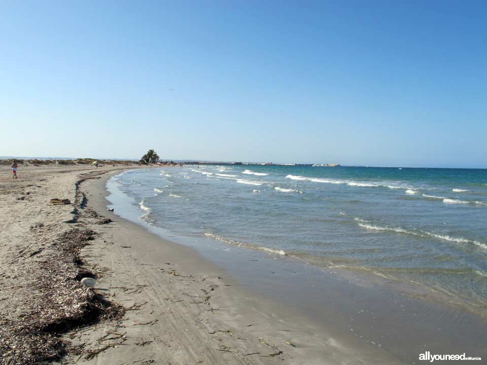 Playa de la Barraca Quemada. Playas de San Pedro del Pinatar