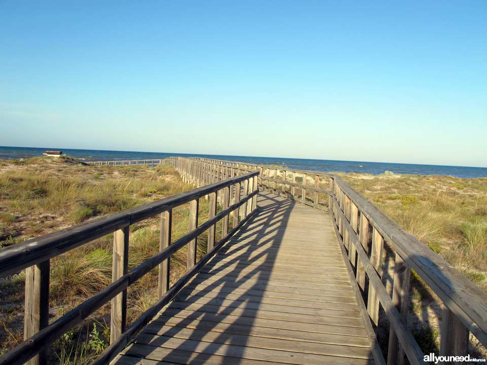 Playa de Torre Derribada en San Pedro del Pinatar