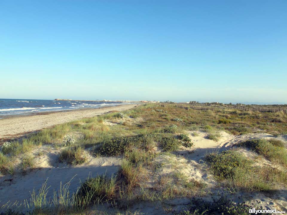 Playa de Torre Derribada en San Pedro del Pinatar