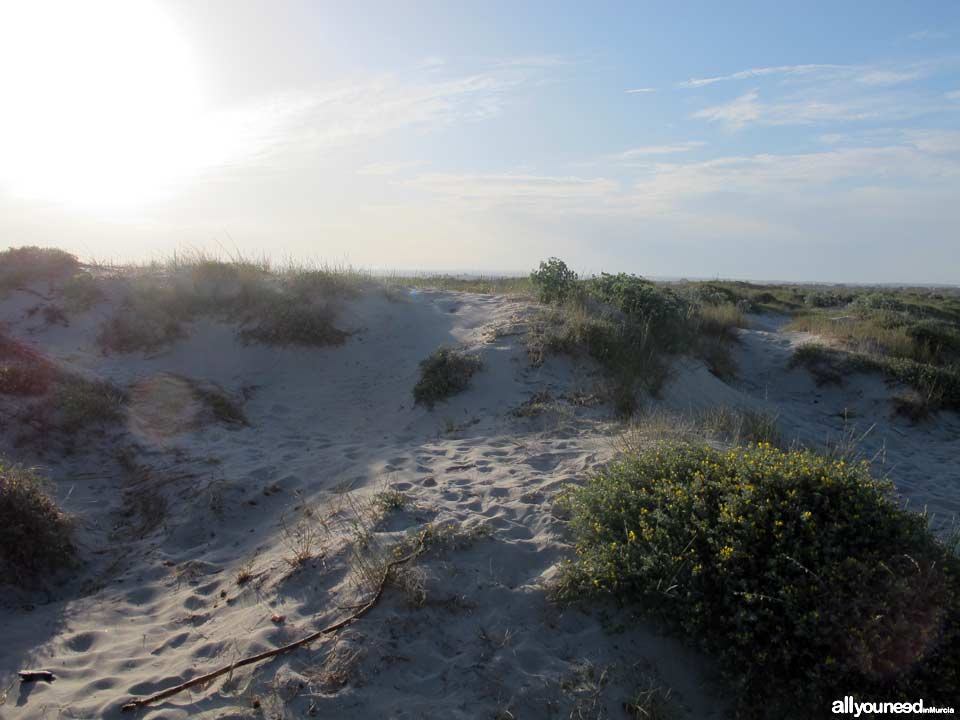 Torre Derribada Beach