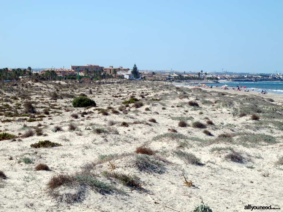 Mojón Beach. San Pedro del Pinatar