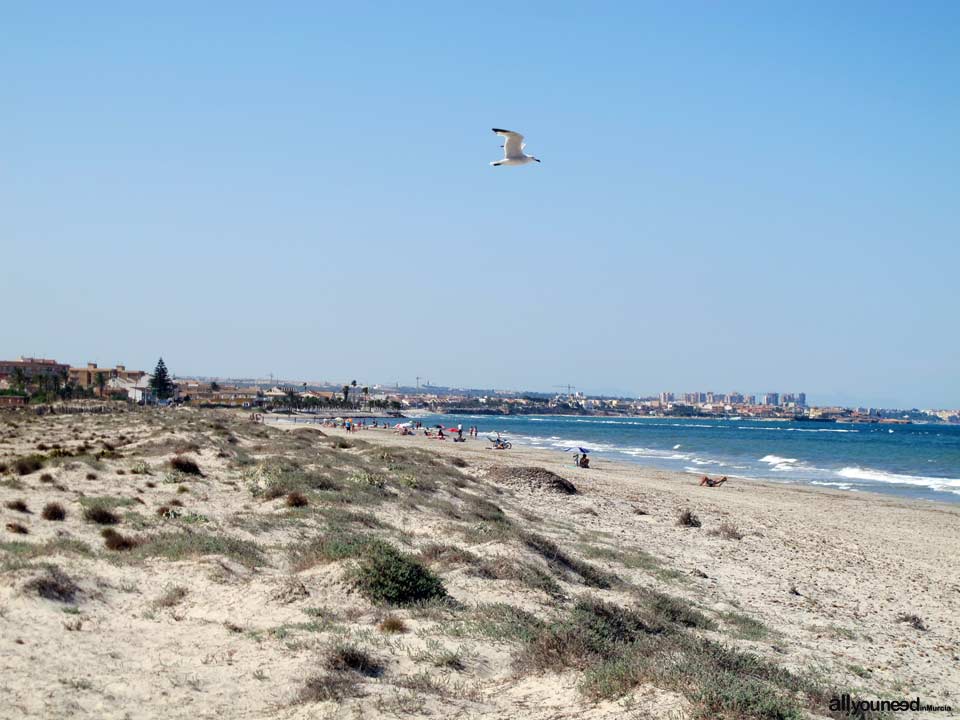 Playa del Mojón. San Pedro del Pinatar