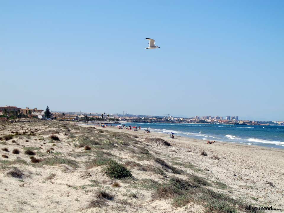 Mojón Beach. San Pedro del Pinatar