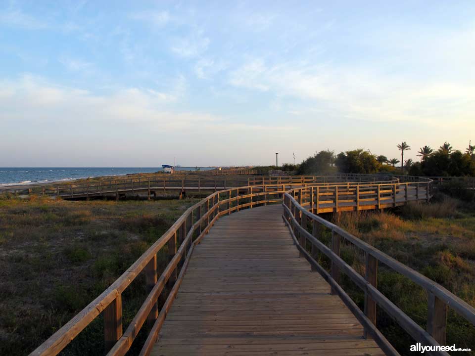 Mojón Beach. San Pedro del Pinatar