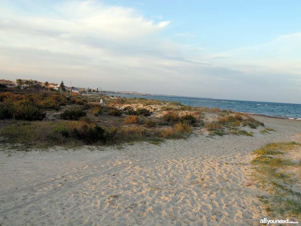 Playa del Mojón. Playas de San Pedro del Pinatar