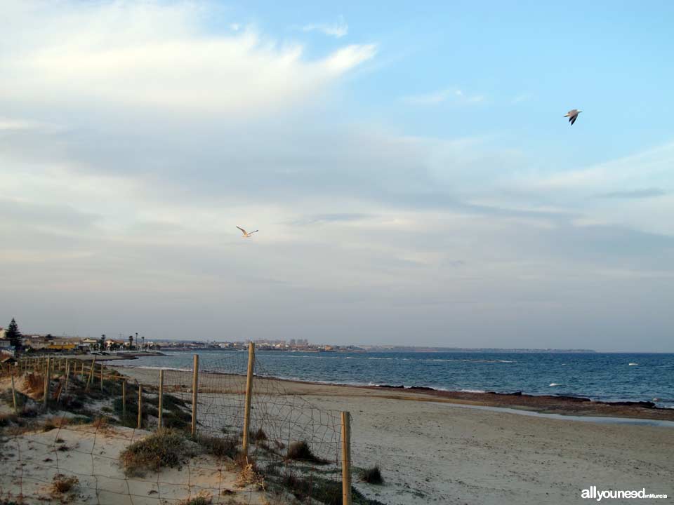 Mojón Beach. San Pedro del Pinatar