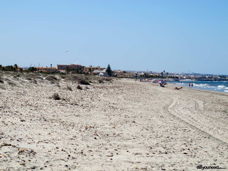 Playa del Mojón. San Pedro del Pinatar