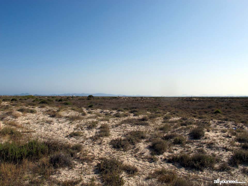 Las Salinas Beach. San Pedro del Pinatar