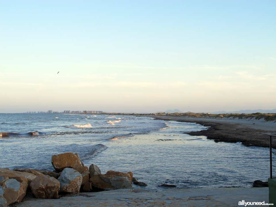 Playa de las Salinas. Playas de San Pedro del Pinatar