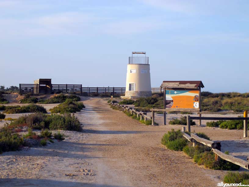 Senda del El Coterillo. Hacia la Torre del Coto. Camino a derecha