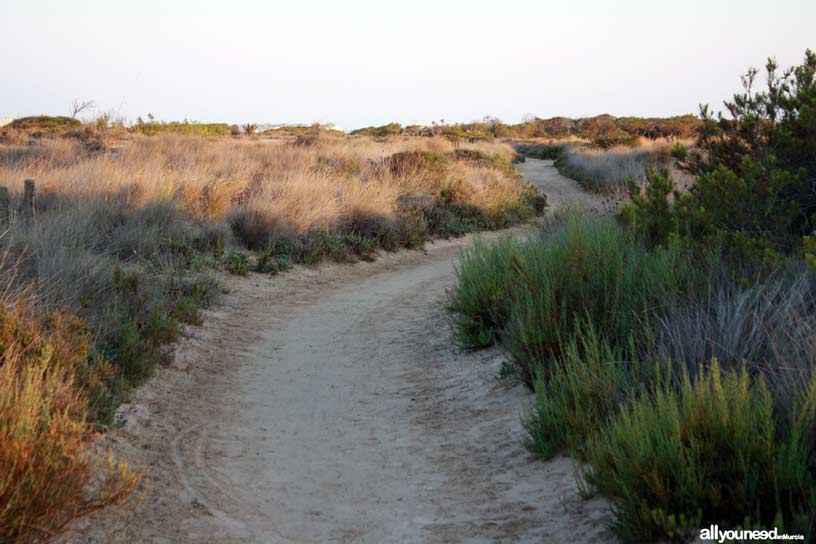 Senda del El Coterillo, Sendero interior