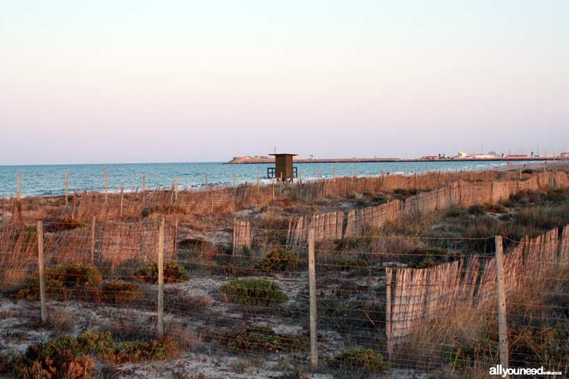 Senda del El Coterillo.Torre Derribada