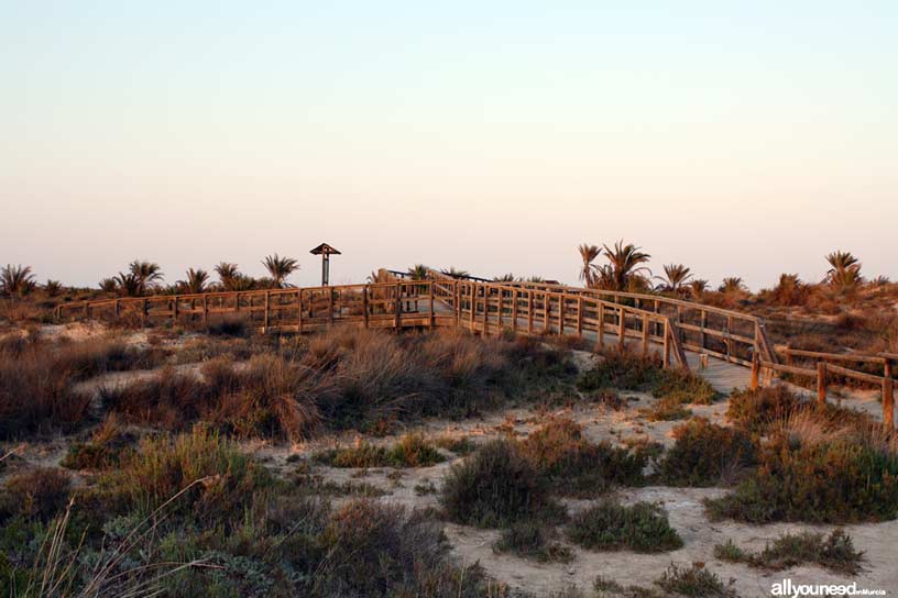 Senda del El Coterillo. Acceso a Torre Derribada