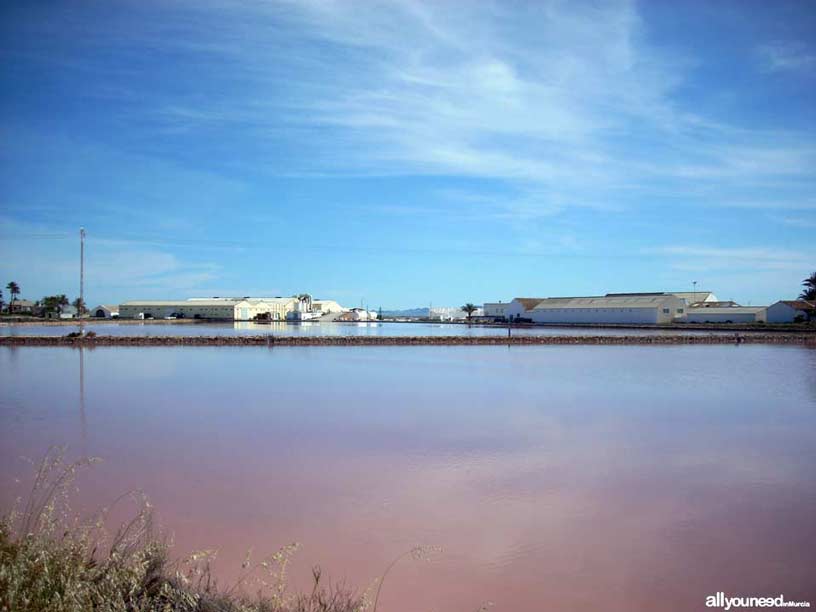 Sendero de Las Encañizada. Industria salinera