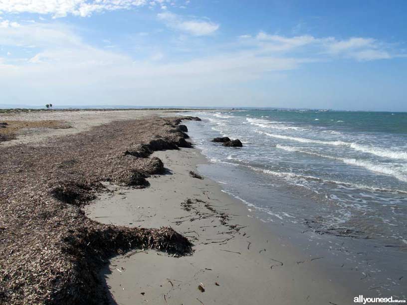 Sendero de Las Encañizada. Playa Punta de Algas. Al fondo el Puerto