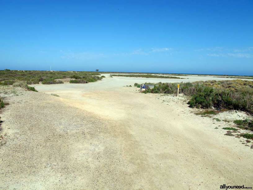 Las Encañizadas path in San Pedro del Pinatar