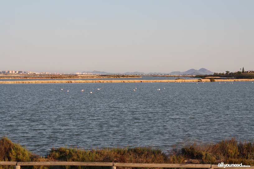 Las Encañizadas path in San Pedro del Pinatar